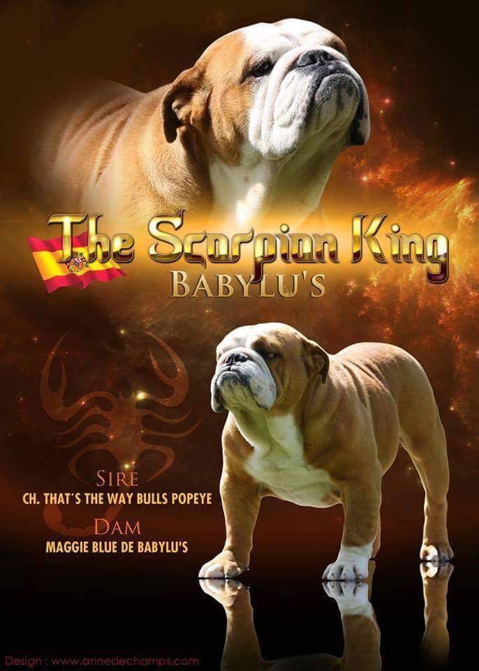 The scorpion king de babylu's